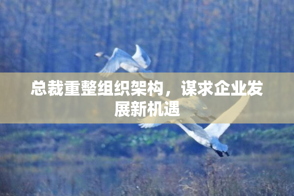 总裁重整组织架构，谋求企业发展新机遇