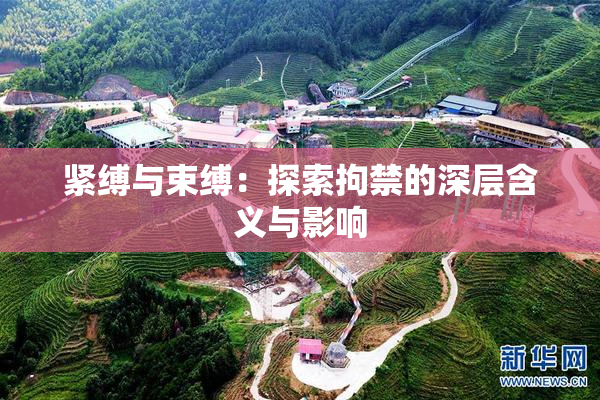 紧缚与束缚：探索拘禁的深层含义与影响