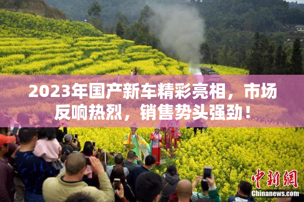 2023年国产新车精彩亮相，市场反响热烈，销售势头强劲！