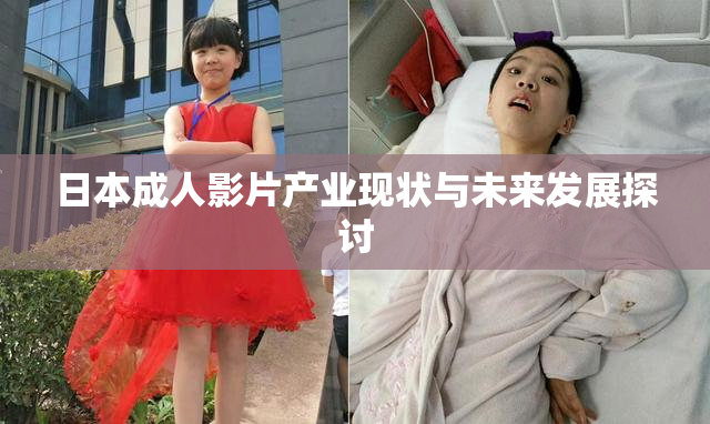 日本成人影片产业现状与未来发展探讨