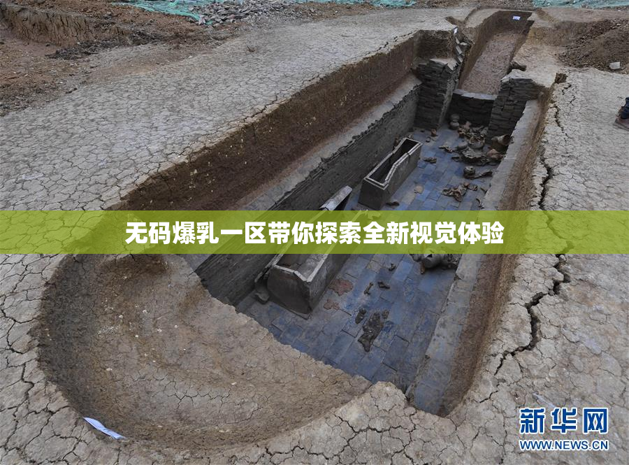无码爆乳一区带你探索全新视觉体验