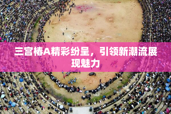 三宫椿A精彩纷呈，引领新潮流展现魅力