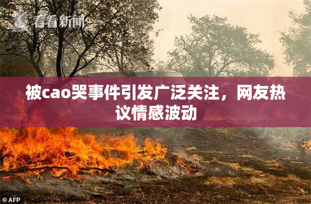被cao哭事件引发广泛关注，网友热议情感波动
