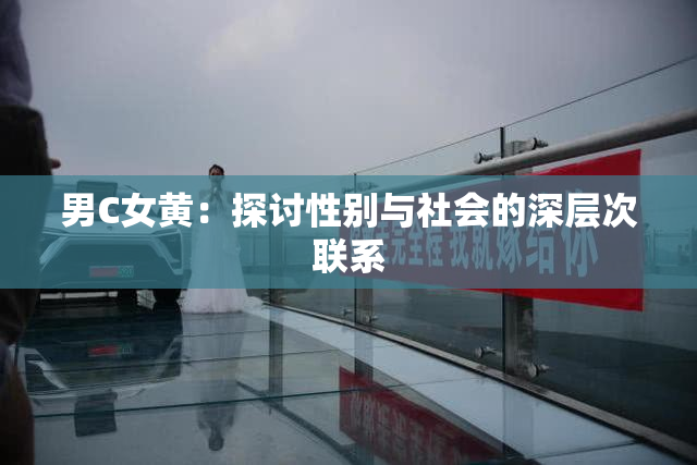 男C女黄：探讨性别与社会的深层次联系