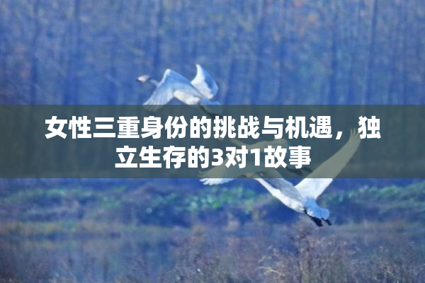女性三重身份的挑战与机遇，独立生存的3对1故事