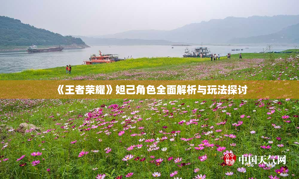 《王者荣耀》妲己角色全面解析与玩法探讨