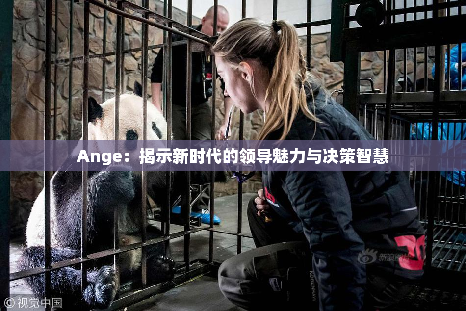 Ange：揭示新时代的领导魅力与决策智慧