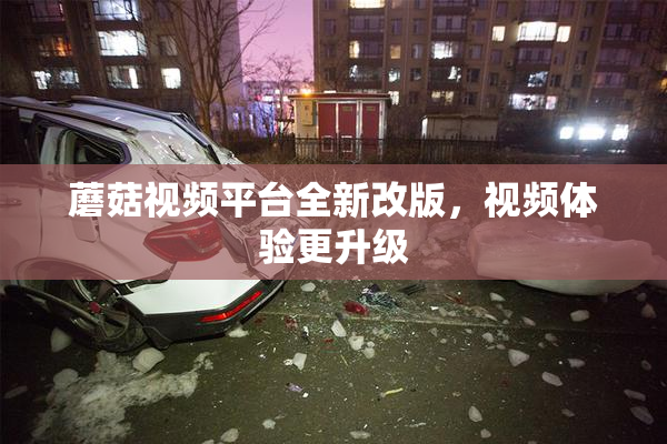 蘑菇视频平台全新改版，视频体验更升级