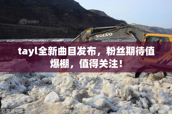 tayl全新曲目发布，粉丝期待值爆棚，值得关注！