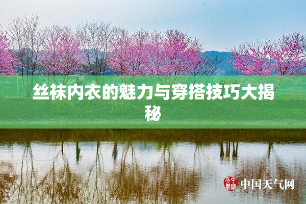 丝袜内衣的魅力与穿搭技巧大揭秘