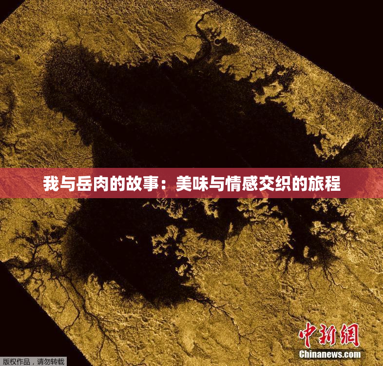 我与岳肉的故事：美味与情感交织的旅程