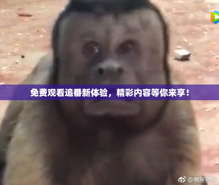 免费观看追番新体验，精彩内容等你来享！