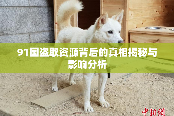 91国盗取资源背后的真相揭秘与影响分析