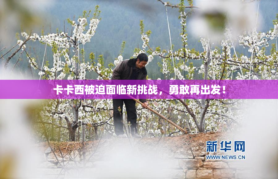 卡卡西被迫面临新挑战，勇敢再出发！