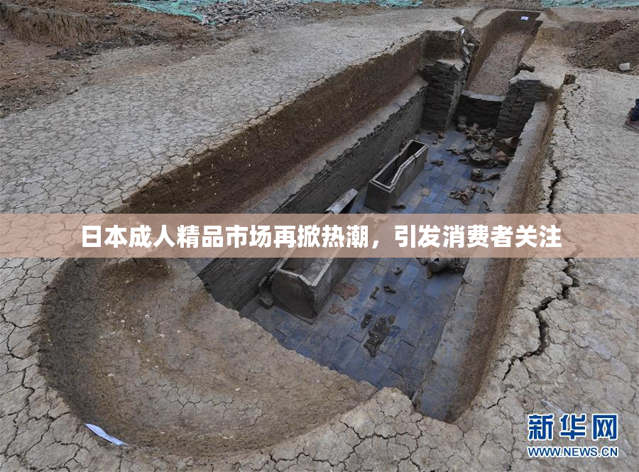 日本成人精品市场再掀热潮，引发消费者关注