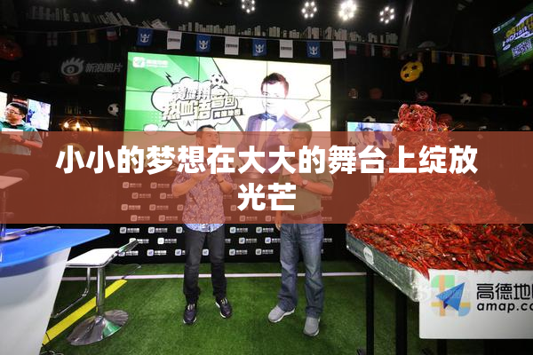 小小的梦想在大大的舞台上绽放光芒