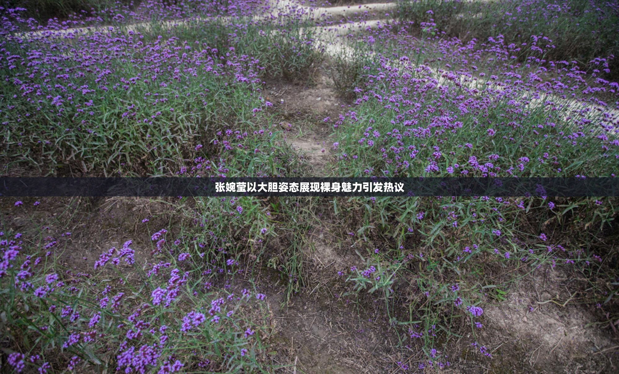 张婉莹以大胆姿态展现裸身魅力引发热议