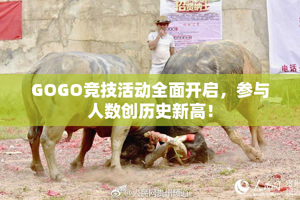 GOGO竞技活动全面开启，参与人数创历史新高！