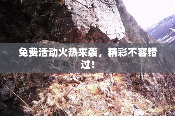 免费活动火热来袭，精彩不容错过！