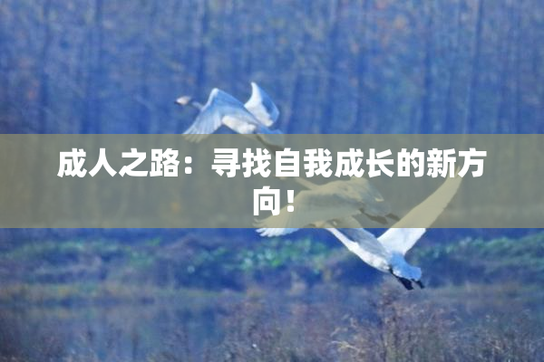 成人之路：寻找自我成长的新方向！