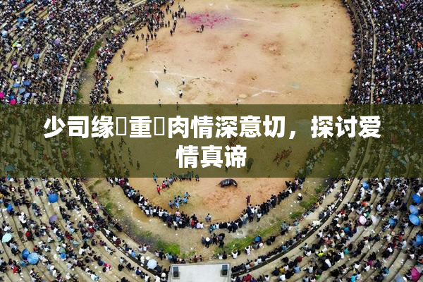少司缘婬重泬肉情深意切，探讨爱情真谛