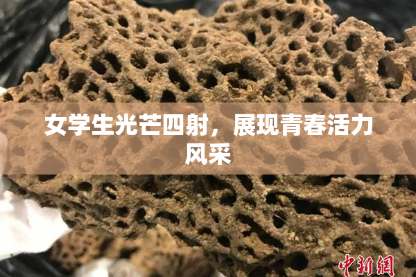 女学生光芒四射，展现青春活力风采