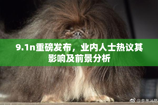 9.1n重磅发布，业内人士热议其影响及前景分析