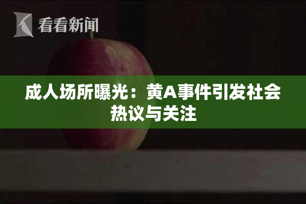 成人场所曝光：黄A事件引发社会热议与关注