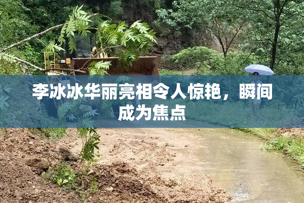 李冰冰华丽亮相令人惊艳，瞬间成为焦点