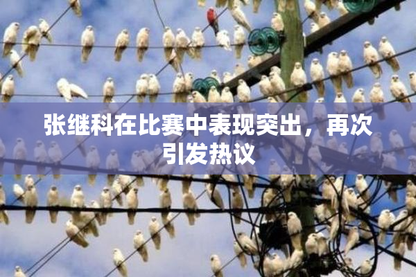 张继科在比赛中表现突出，再次引发热议