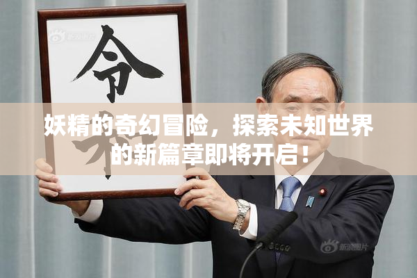 妖精的奇幻冒险，探索未知世界的新篇章即将开启！