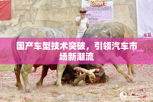 国产车型技术突破，引领汽车市场新潮流