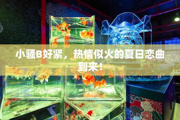 小骚B好紧，热情似火的夏日恋曲到来！