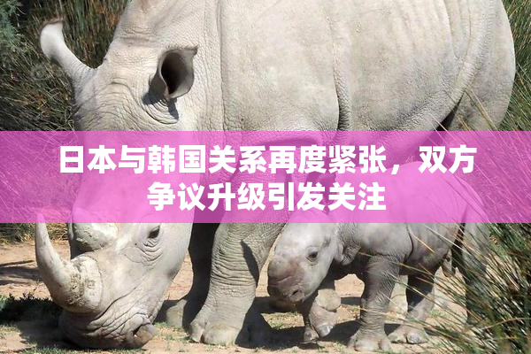 日本与韩国关系再度紧张，双方争议升级引发关注