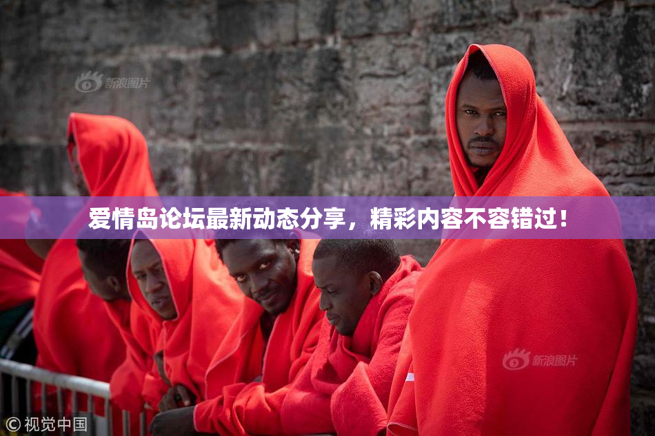 爱情岛论坛最新动态分享，精彩内容不容错过！