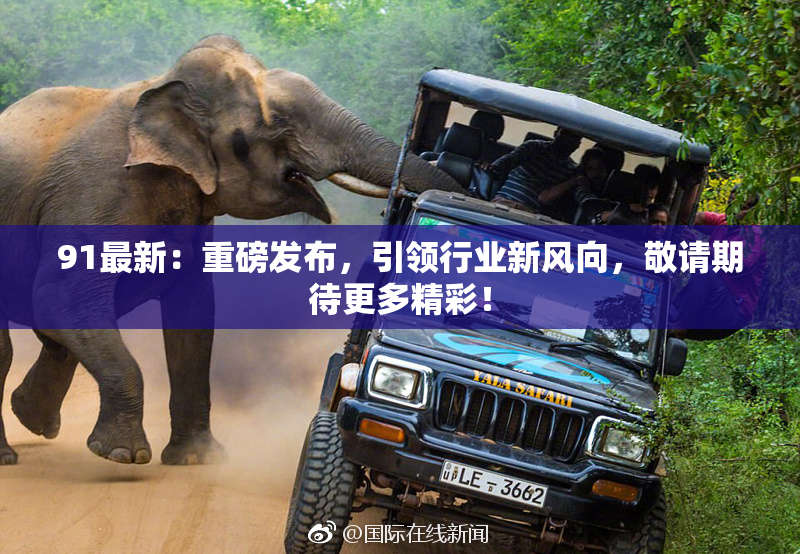 91最新：重磅发布，引领行业新风向，敬请期待更多精彩！