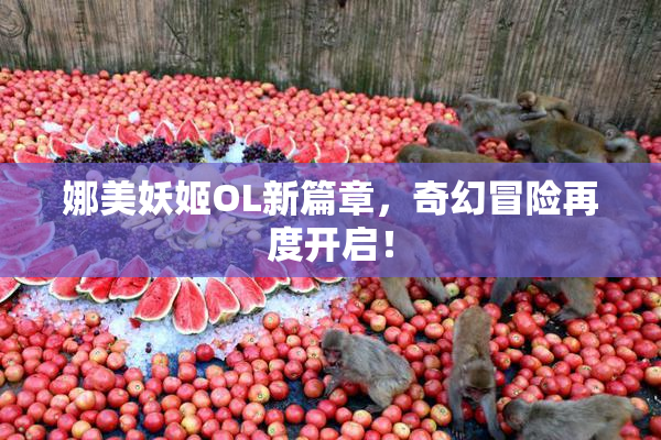 娜美妖姬OL新篇章，奇幻冒险再度开启！