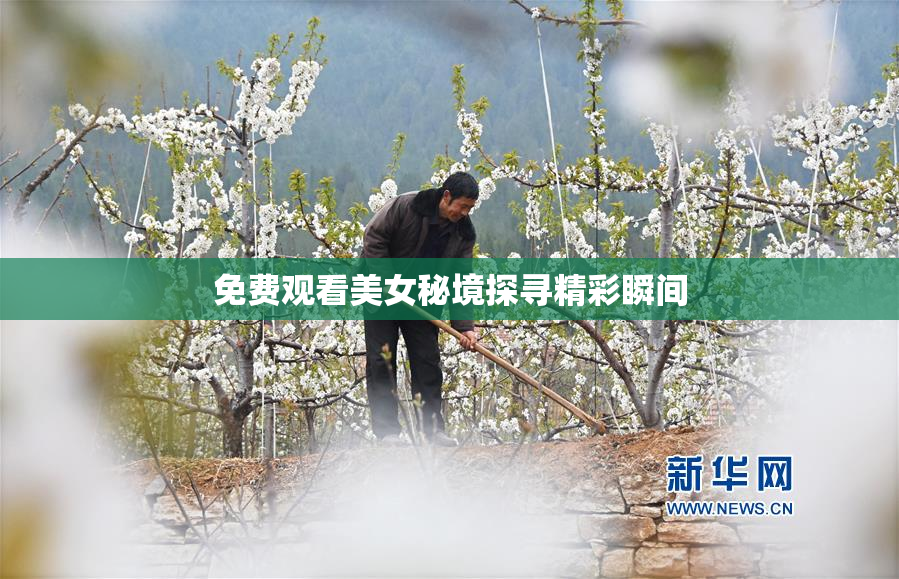免费观看美女秘境探寻精彩瞬间