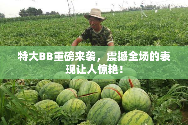 特大BB重磅来袭，震撼全场的表现让人惊艳！