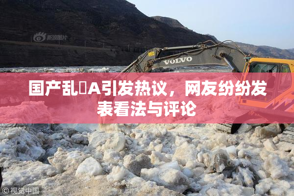 国产乱婬A引发热议，网友纷纷发表看法与评论