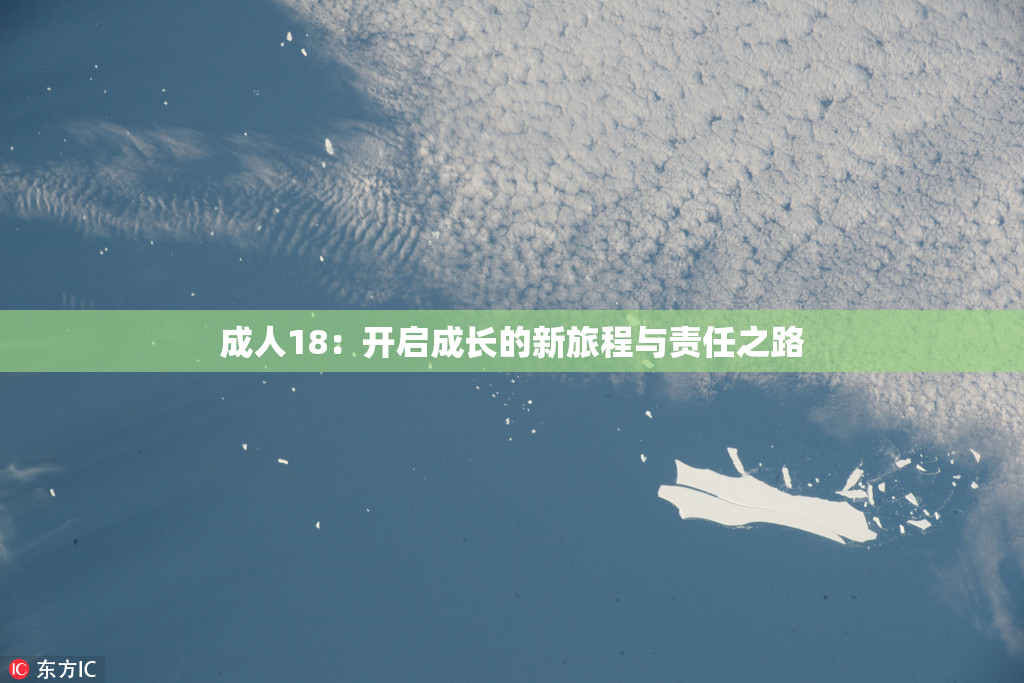 成人18：开启成长的新旅程与责任之路