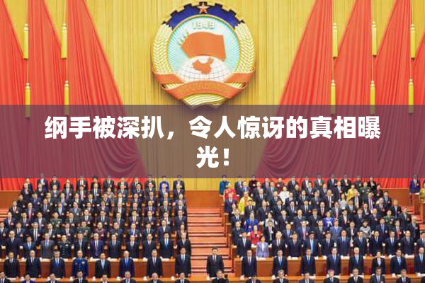 纲手被深扒，令人惊讶的真相曝光！
