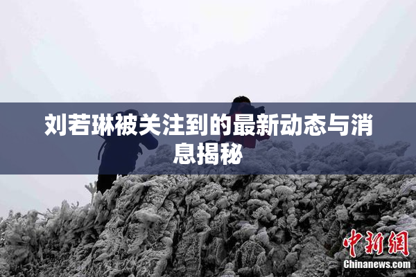 刘若琳被关注到的最新动态与消息揭秘