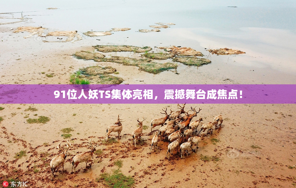 91位人妖TS集体亮相，震撼舞台成焦点！