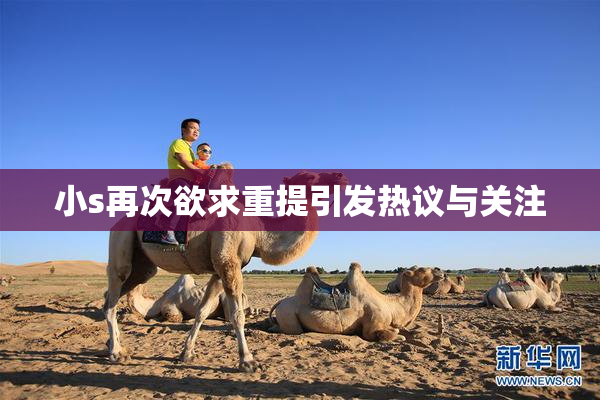 小s再次欲求重提引发热议与关注