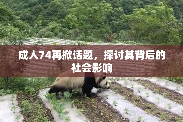 成人74再掀话题，探讨其背后的社会影响