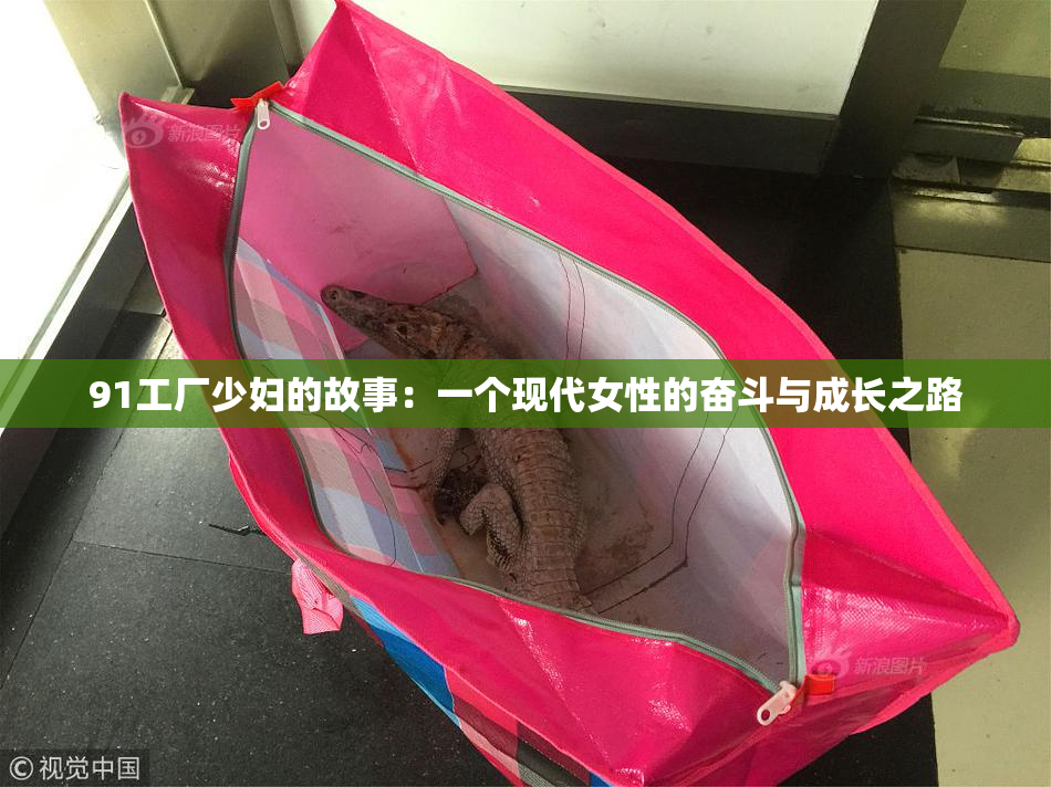 91工厂少妇的故事：一个现代女性的奋斗与成长之路
