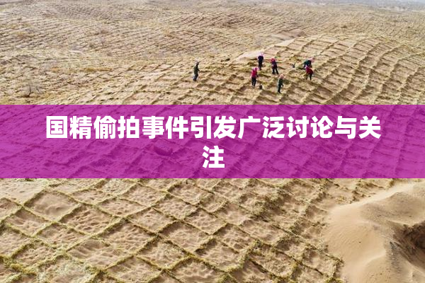 国精偷拍事件引发广泛讨论与关注