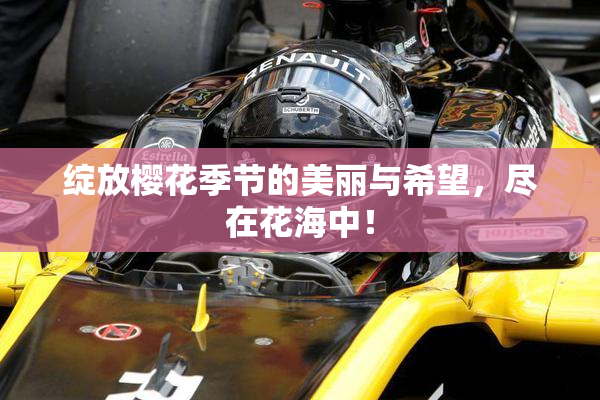 绽放樱花季节的美丽与希望，尽在花海中！