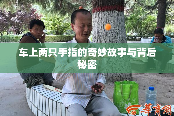 车上两只手指的奇妙故事与背后秘密